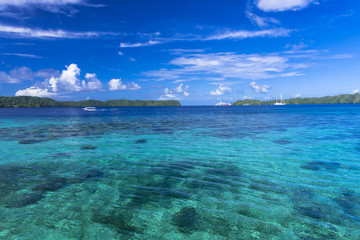 Fototapeta premium コロール島の美しい海
