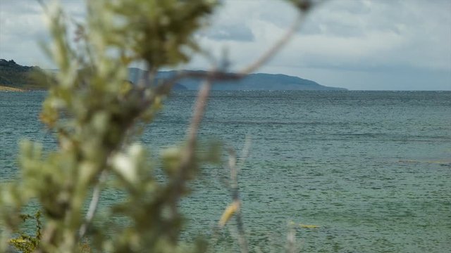 The Beagle Channel at Southernmost Tip of South America Viewed with Flora of Tierra del Fuego near Ushuaia Argentina