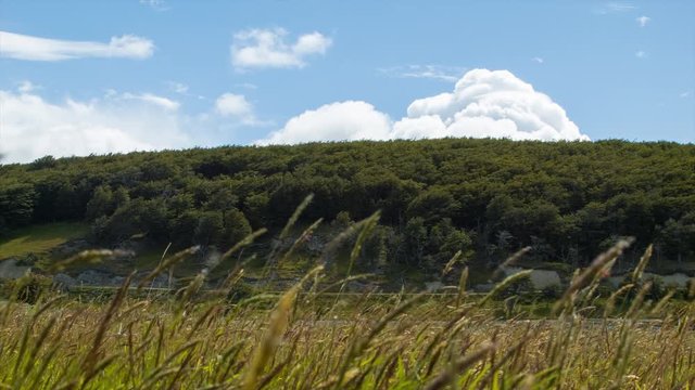 Nature Scene of Estancia Haberton in Tierra del Fuego near Ushuaia Argentina during a Sunny Windy Day