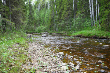 Rural river landscape 