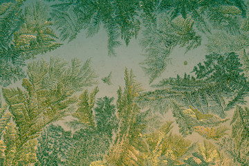 Winter Frost Patterns on Window Retro