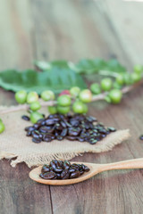 Fresh coffee beans on wood