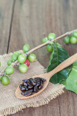 Fresh coffee beans on wood