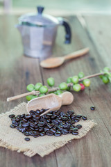 Fototapeta na wymiar Fresh coffee beans on wood