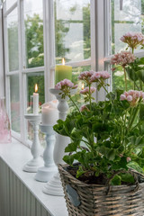 bouquet of roses in window