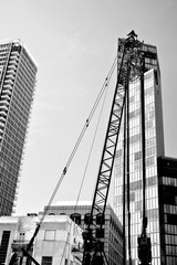 Industrial Construction Crane