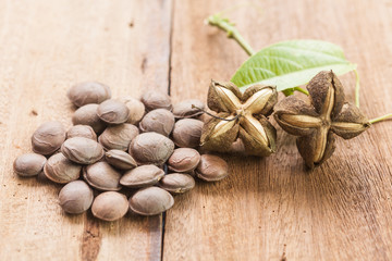 dried capsule seeds fruit of Sacha Inchi peanut on wooden