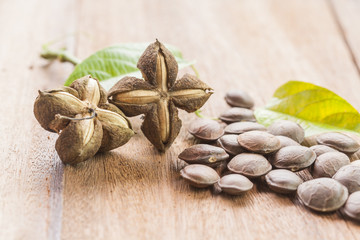 dried capsule seeds fruit of Sacha Inchi peanut on wooden