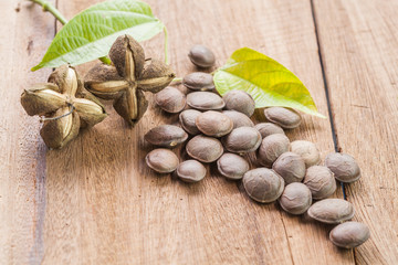 dried capsule seeds fruit of Sacha Inchi peanut on wooden
