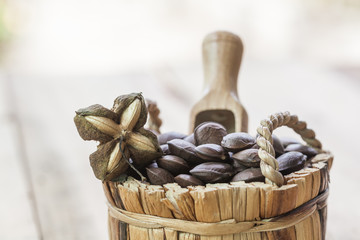 dried capsule seeds fruit of Sacha Inchi peanut in basket