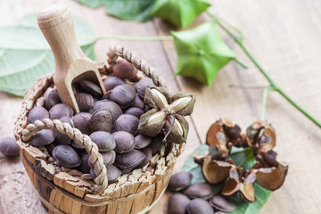dried capsule seeds fruit of Sacha Inchi peanut in basket