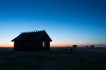 Cottage in silhouette at dawn