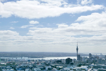 Fototapeta premium オークランドの街並み