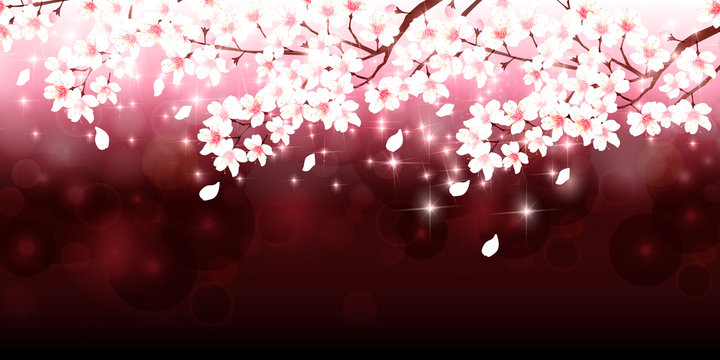 桜　春　花　背景