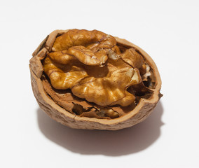 Walnut close-up.