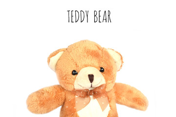 Close up teddy bear on white background
