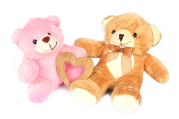 Close up teddy bear on white background