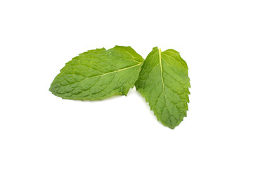 Naklejka na ściany i meble Close up fresh green mint leaves on white background and selective focus