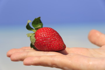 Strawberry on right heand. Background is blue Maldives beach, сrystal sky, ocean and sand.