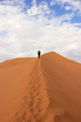 Fototapeta na wymiar Tourist climbing a dune in the Sossusvlei desert, Namibia
