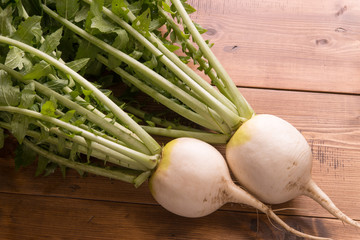 聖護院大根 © promolink