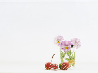 ビオラとオキナワスズメウリの実