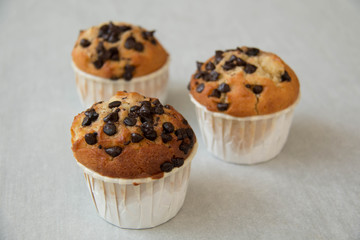  photo of a chocolate chip muffin.