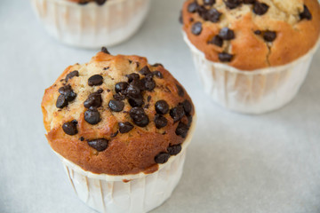  photo of a chocolate chip muffin.
