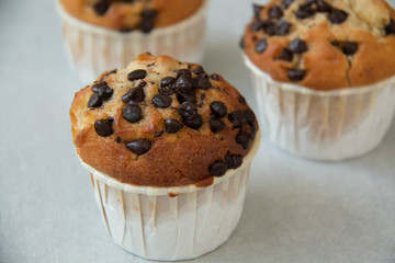 photo of a chocolate chip muffin.