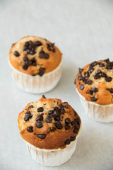  photo of a chocolate chip muffin.