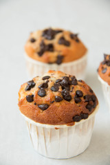  photo of a chocolate chip muffin.