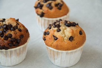  photo of a chocolate chip muffin.