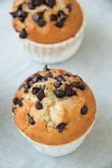  photo of a chocolate chip muffin.