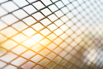 Sun shining through the steel cage diamond foreground bushes.