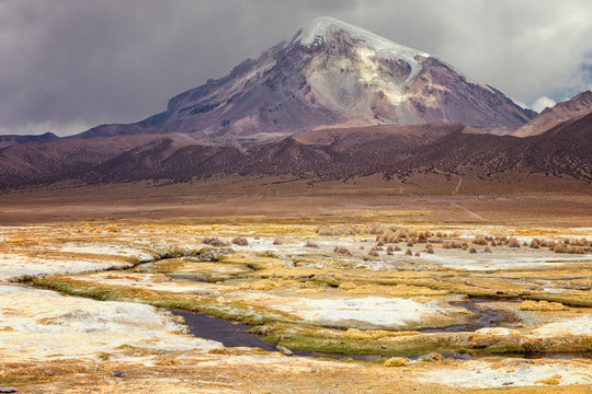 Landscape with the sajama volcano in the background, plateau nat