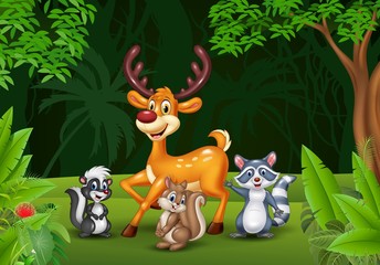 Cartoon wild animals in the jungle