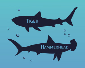 Set of silhouettes  sharks isolated on sea background