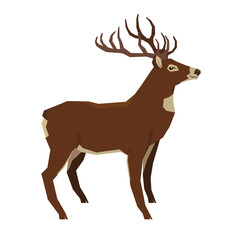 Obraz premium Wild animals collection Deer Geometric style