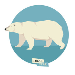 Obraz premium Wild animals collection Polar bear Geometric style