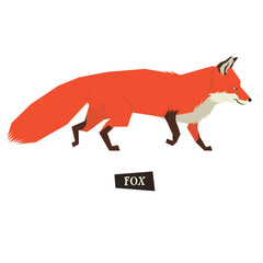 Wild animals collection Red Fox Geometric style