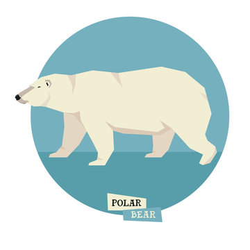 Wild animals collection Polar bear Geometric style