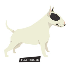 Dog collection Bull Terrier Black and White color