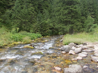 Górski potok , Tatry,Nature, Natur, طبيعة, 自然, nature, טבע, 自然, natur, natura, príroda, طبیعت