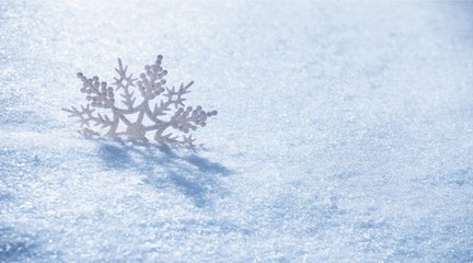Fototapeta premium Snow.