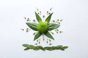 Composition of flowers and leaves on white background