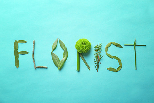 Word Florist made of plants on color background