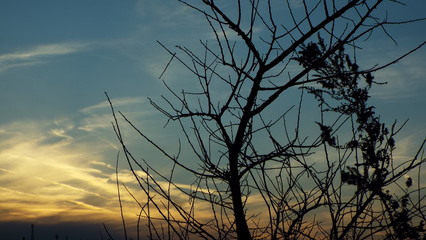 Obraz premium 夕景5