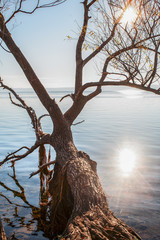 Lago di Bracciano, Italia
