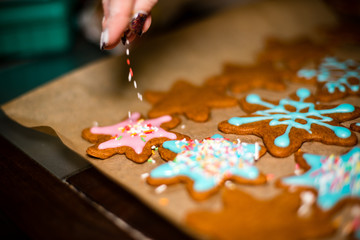 Making Gingerbread Cookies Series. Preparing and cutting dough s