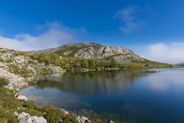 Naklejka na ściany i meble Lago Enol, Lagos de Covadonga (Asturias, España).